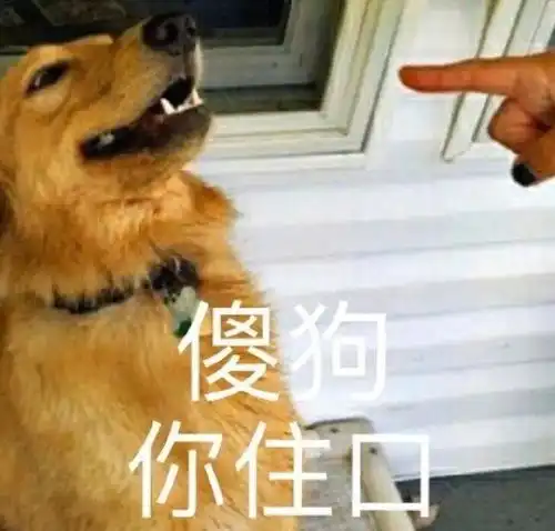 抖音最火表情包全部图片微信