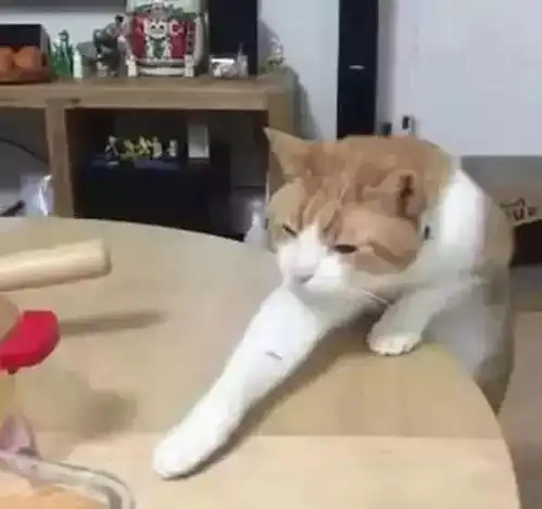  橘猫偷吃咸鱼便当,伸出爪子却差一截,主人轻轻一推橘猫