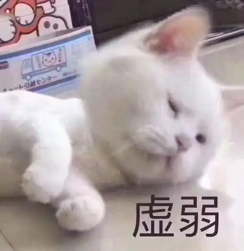  表情包