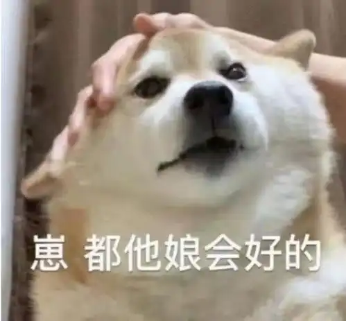  遛狗时平地摔把自己砸狗粑粑上了