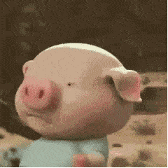  福建丨大型翻车现场104头生猪散落高速边坡行人目瞪口呆