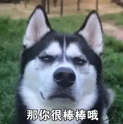  柴犬和哈士奇谁是表情包