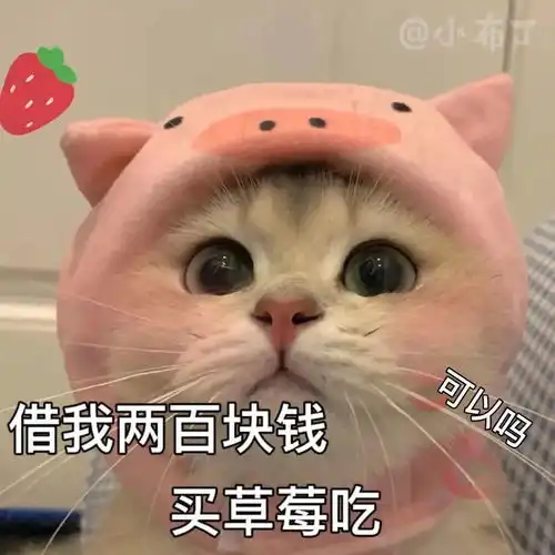  抖音表情包i老子给你埋了