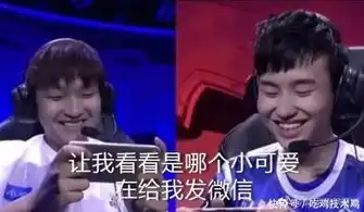  当冠军杯总决赛出现五杀和安琪拉时表情包被玩坏了