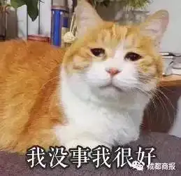  微信适合中年人00后又用回qq了看完太扎心了