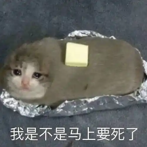 慎入,肌肉猛男和大鸟