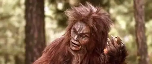  可怕的人猿杂交实验,共有5名女性志愿者参加,结果发生意外