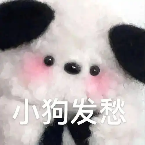  超实用可爱表情包我没钱了