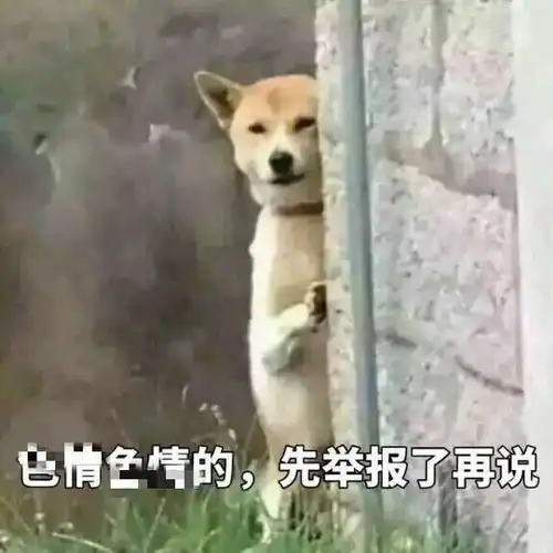  表情包我不管我不管,先举报再说