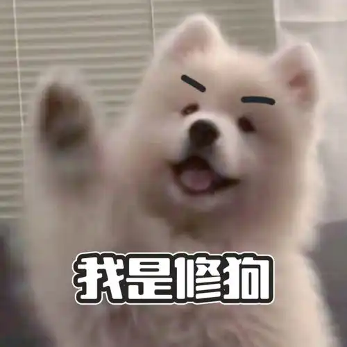 如何用视频做表情包表情