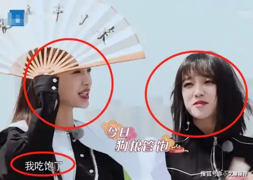 奔跑吧兄弟郑恺落单追妻,苗苗玩游戏不忘丈夫吃饭,跑男成员的表情成焦点