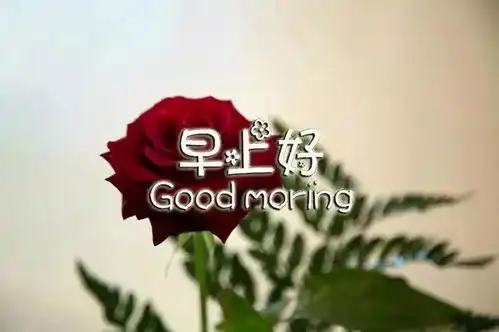  早安祝福语问候语表情包早上好祝福动态表情图片大全