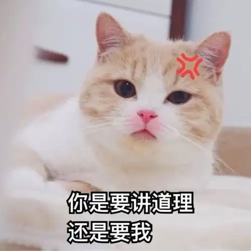  12星座当妈,原来是这个样