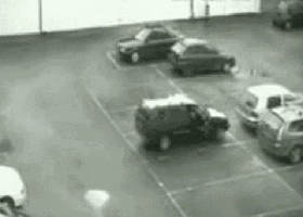  搞笑gif段子1什么样的主子,就有什么样的铲屎官