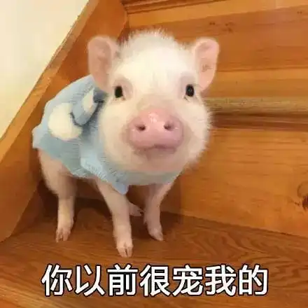  名侦探橘猫,上线