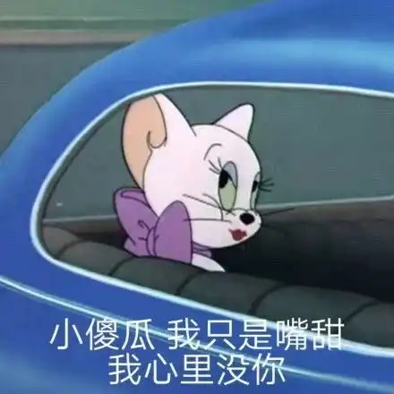 你这不是废话吗表情包