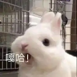  搞笑表情包我哭了我装的