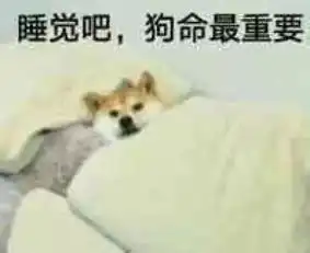 疫情防控表情包狗命