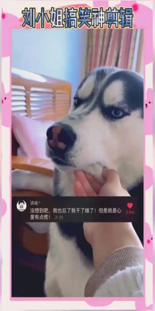 看吧这表情明显干了坏事心虚了,问这一刻你的想法