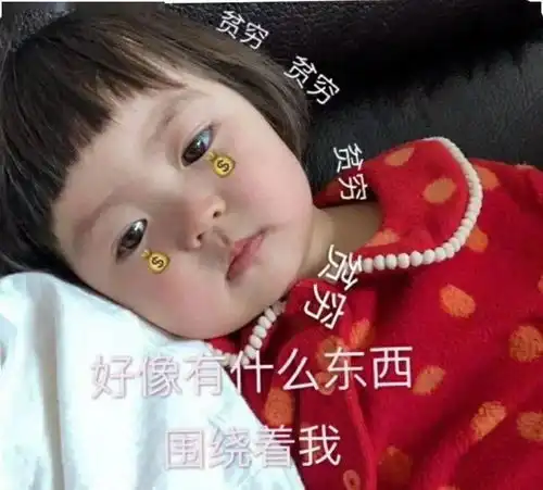 求小饼干表情包大全生活