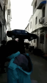 什么鬼表情包gif队友