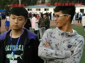  小主独家限量表情包重磅来袭