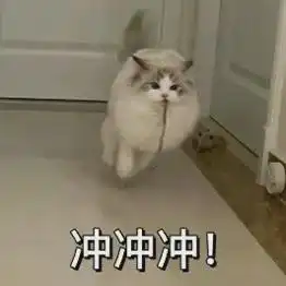 思考了很久,研究生决定放弃发顶刊改发面包,网友发个抖音吧