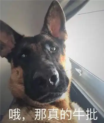  沙雕表情谁还不是小天使了