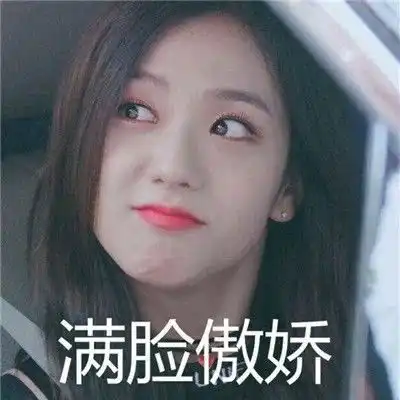  blackpink表情包今天你交作业了吗