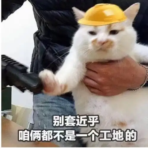 猫咪冲刺表情包表情包