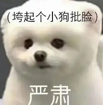  氵xkc集思广益,论如何盘活我组