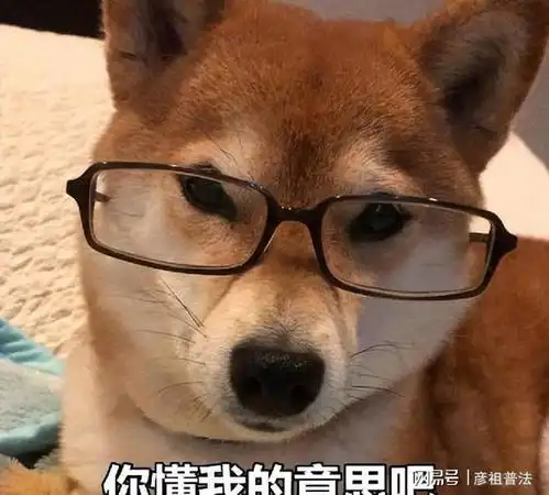  悄悄告诉你,狗狗报恩的7个表现,有一个就很了不起