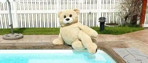  新晋表情包tiktok圈粉百万,网友原来你是这样的熊熊