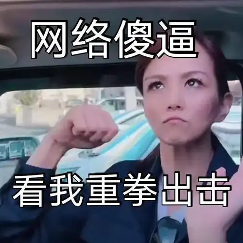  美有姬表情包