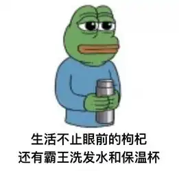  100块承包你的一整年,生活仪式感真的不贵
