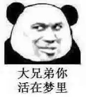  熊猫头沙雕表情包23张