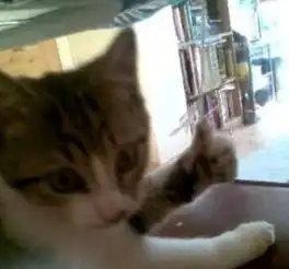  九月份的这部院线黑马太低调,看了演员阵容我吓一跳