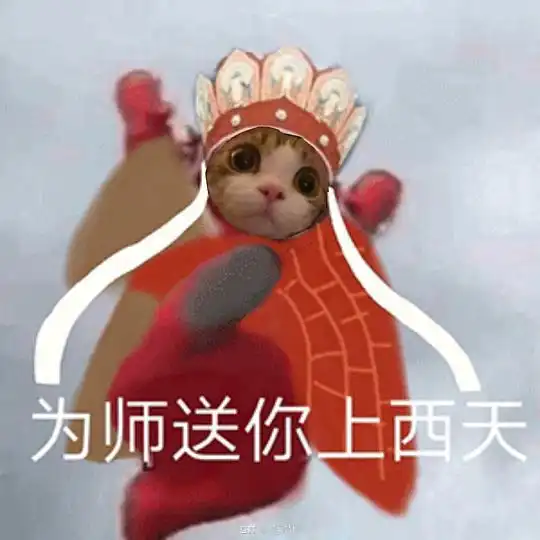  可爱靖鹅的相册小猫