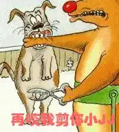  好看点的qq表情