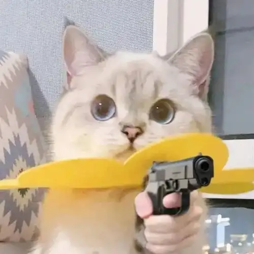  朋友圈封面背景图07.30