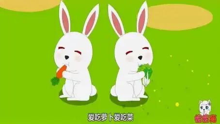  表情小白兔白又白歌曲,沁人心扉好看视频表情