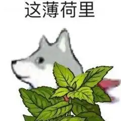  留下一点表情包