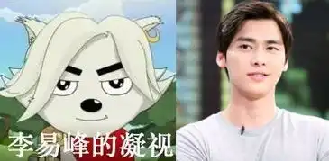  周冬雨的凝视,掀起新一波明星表情包斗图大赛内附2017年放假安排