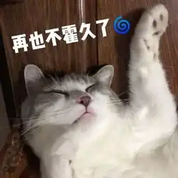  表情包图先欠着