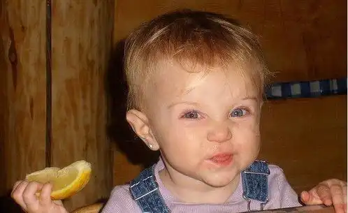 19复试苹果桔子和香蕉,亲爱的老师你吃点啥 19复试苹果桔子和香蕉,亲爱的老师你吃点啥