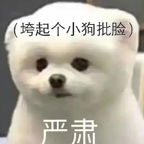 沙雕狗子表情包for循环