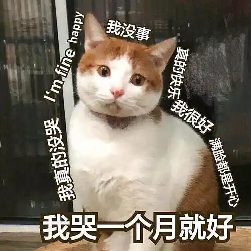  上学时老师喜欢什么样的学生