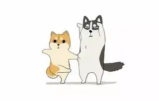  柴犬vs哈士奇论养了只表情包是什么感觉