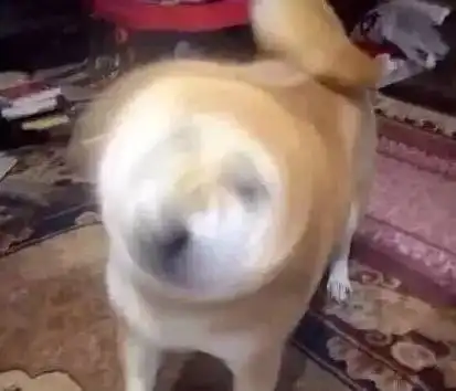  还有3个小时下班,这就是你现在的状态