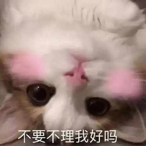  表情包没人疼没人爱,我是地里的一颗小白菜